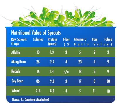 nutritional value of sprouts green farmland green